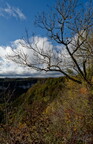Paysage