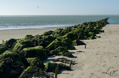 Sur la plage