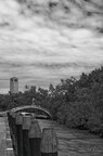 Bord du canal